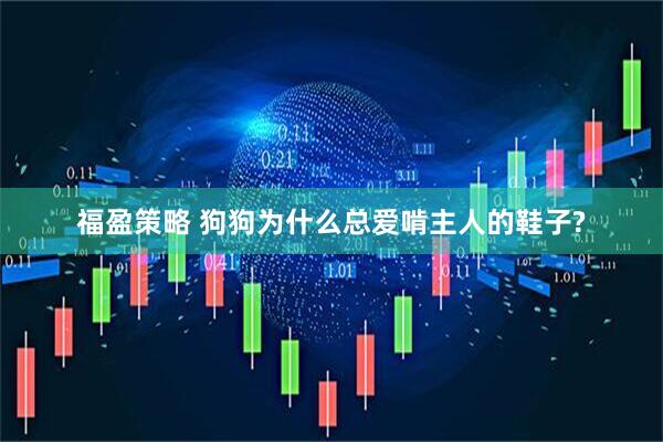 福盈策略 狗狗为什么总爱啃主人的鞋子?